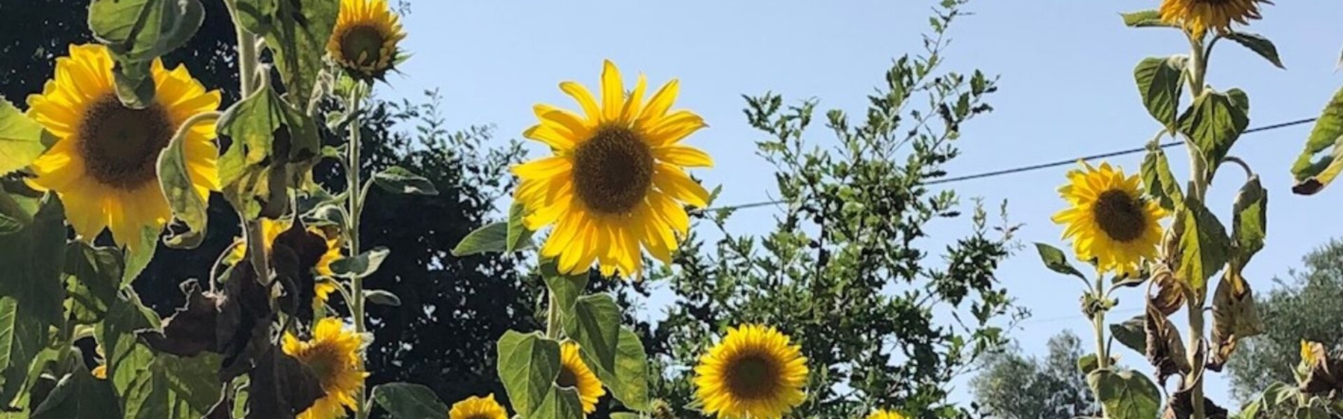 herfst 2021