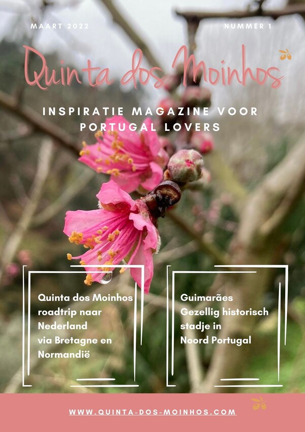 Lente 2022