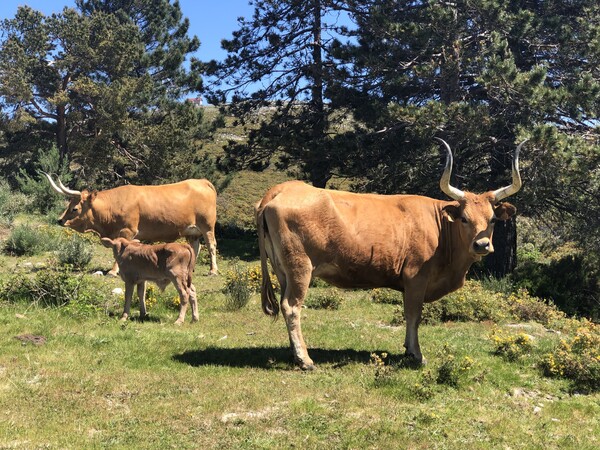 10 daagse rondreis Noord Portugal 