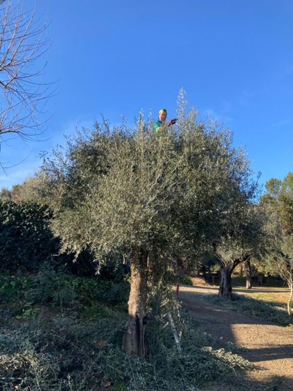 wintertuin Portugal