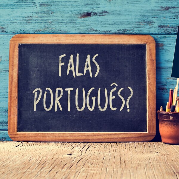 De Portugese taal