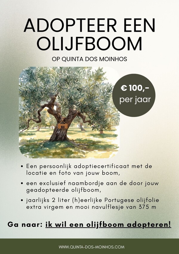 Adopteer een olijfboom