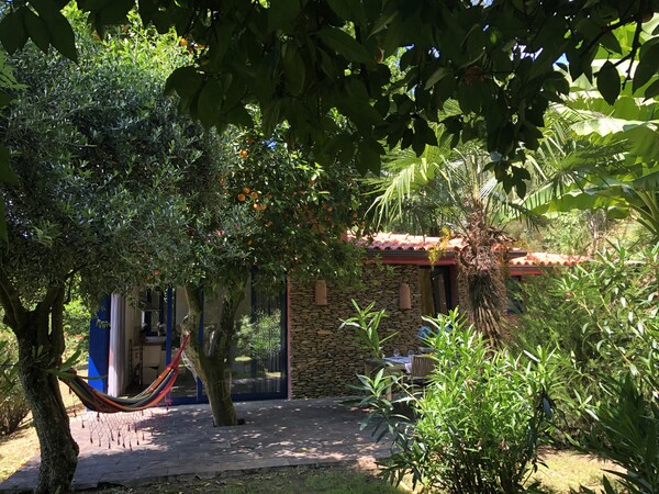 Maak kennis met onze gezellige accommodaties