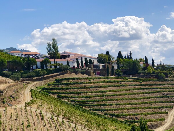 Top 3 Wijnhuizen in de Douro-vallei