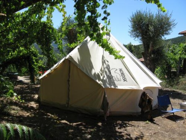 Small Campsite North Portugal