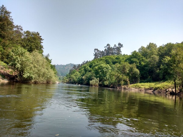 vissen Rio Tamega 