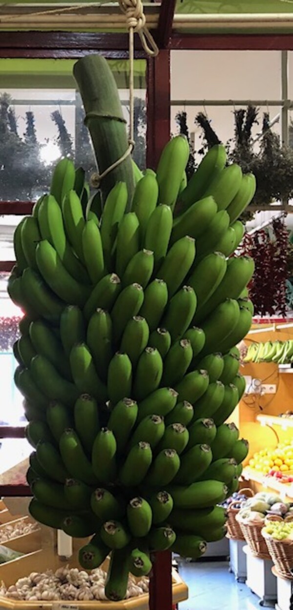 Madeira bananen