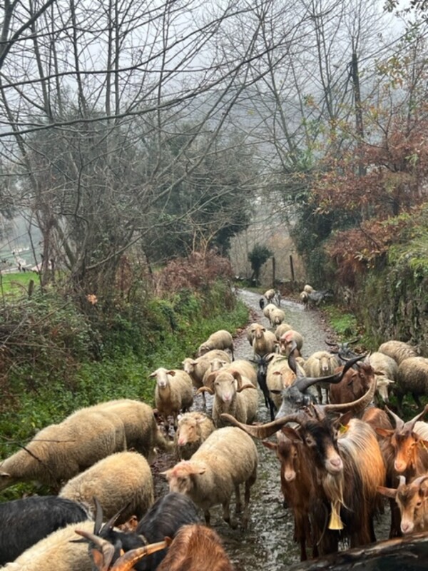 winter in Portugal