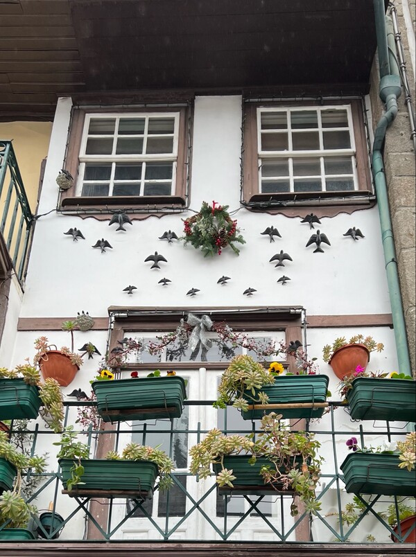 zwaluwen in Portugal - Andorinhas