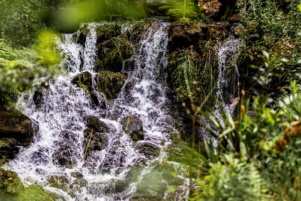 Ontspanning en Wellness