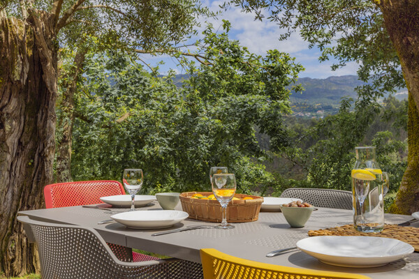 ruime tuin en prive terras bij je vakantiehuis in Noord Portugal