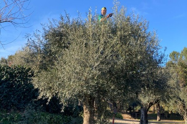 wintertuin Portugal