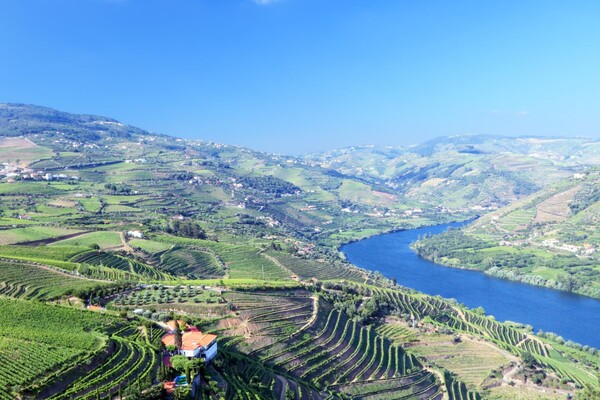 Bucketlist Noord-Portugal: Wat je absoluut niet mag missen