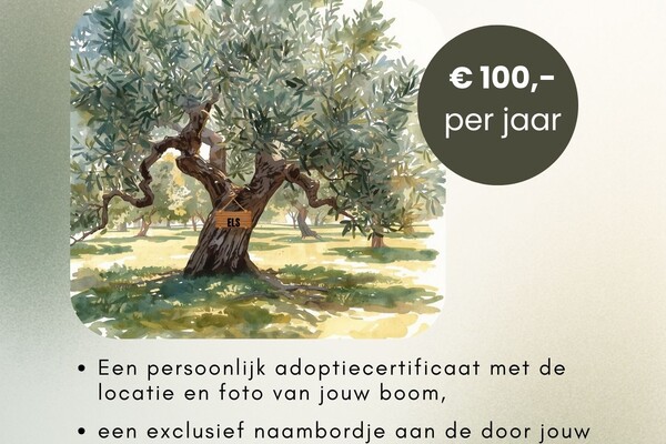 Adopteer een olijfboom