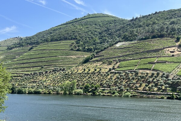 Top 3 Wijnhuizen in de Douro-vallei