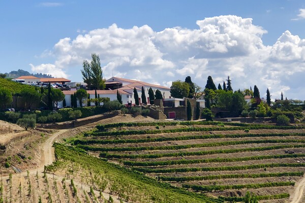Top 3 Wijnhuizen in de Douro-vallei