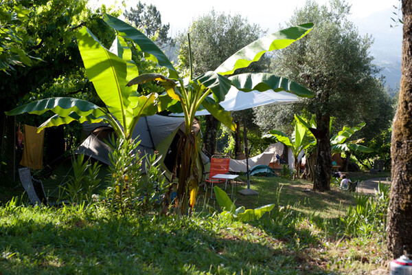 Small Campsite North Portugal