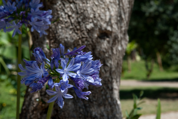  Luxury holiday homes in Northern Portugal at boutique resort Quinta dos Moinhos