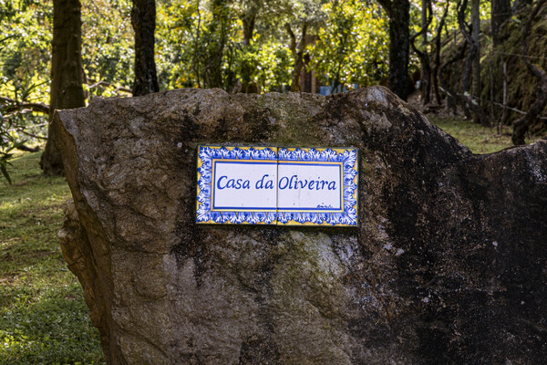 Vakantiehuis Casa da Oliveira