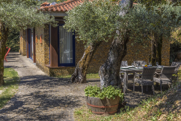 Luxe vakantiehuizen met zwembad in Noord Portugal