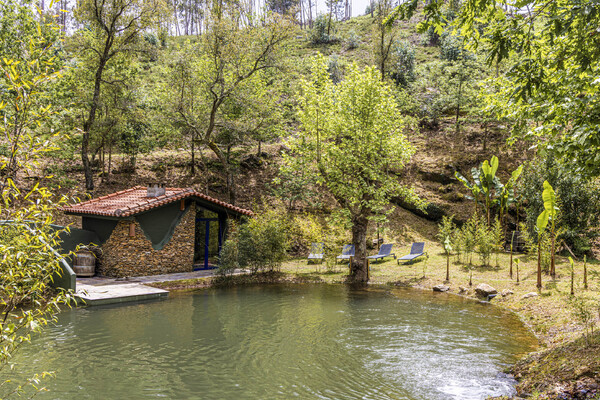 Luxe vakantiehuizen met zwembad in Noord Portugal
