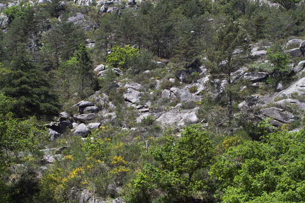 Überraschendes Portugal