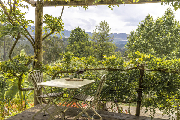 Luxe vakantiehuizen met zwembad in Noord Portugal