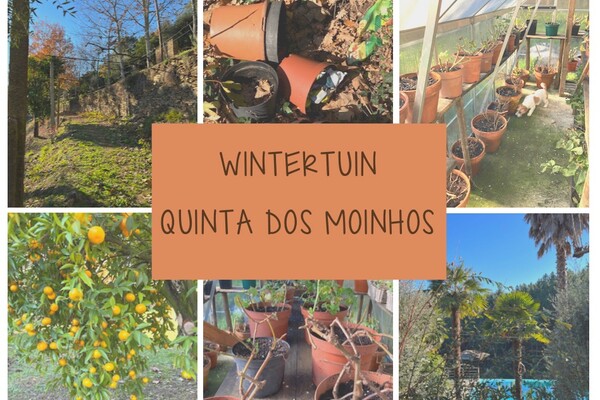 wintertuin Portugal