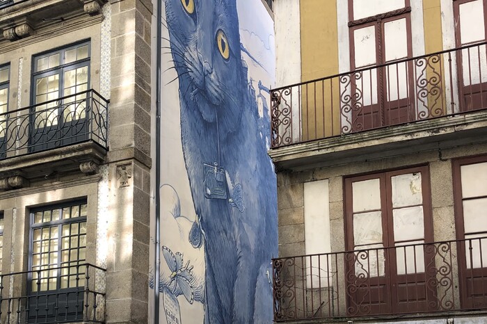 Rua das Flores: de straat waar Porto tot leven komt